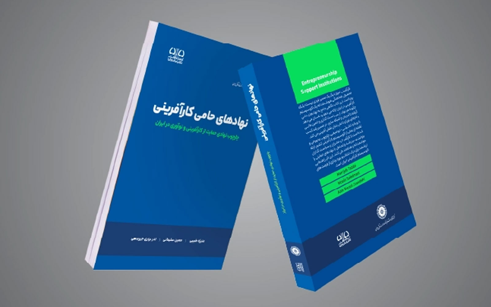 کتاب نهادهای حامی کارآفرینی (چارچوب نهادی حمایت از کارآفرینی و نوآوری در ایران) منتشر شد