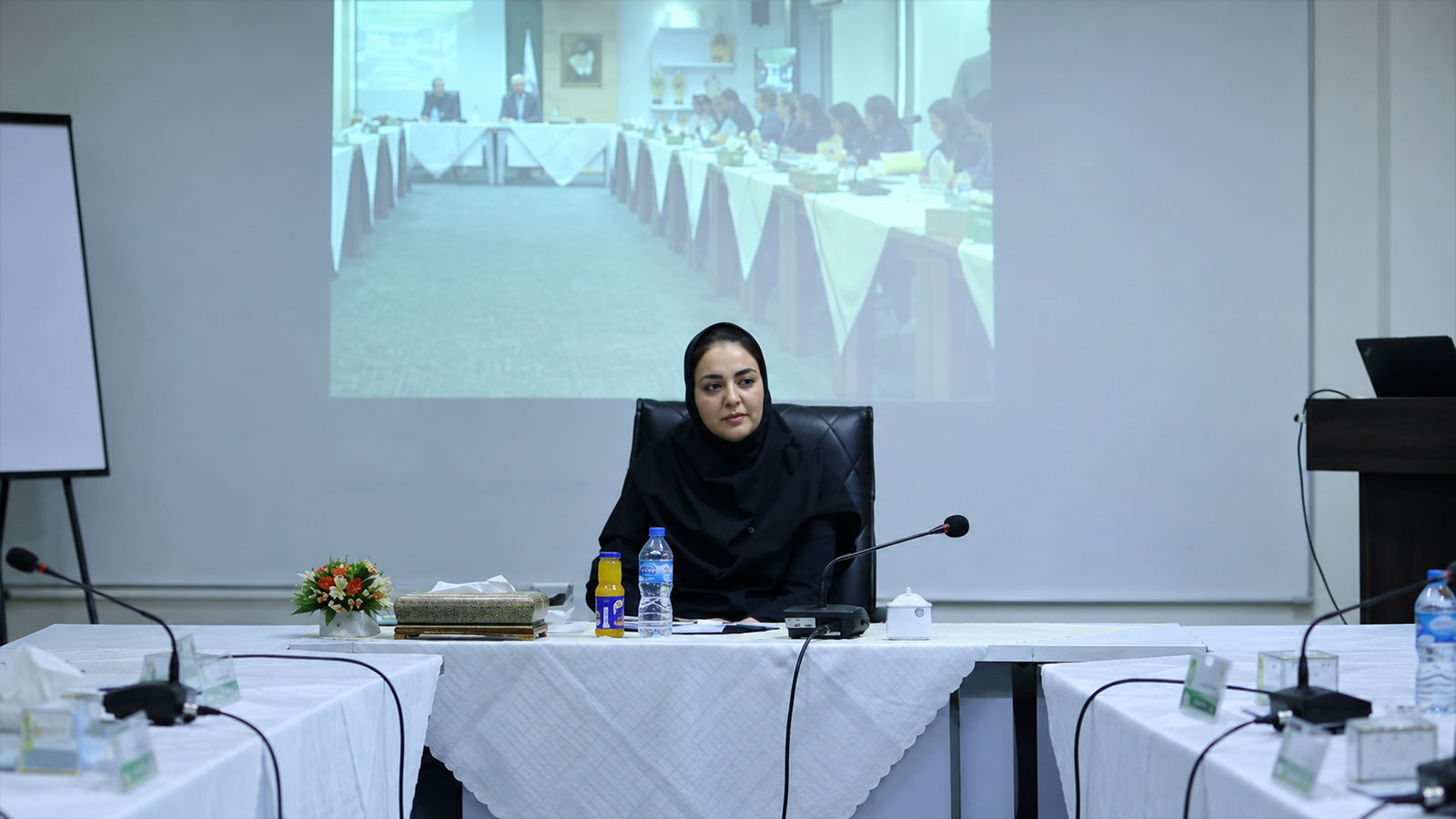 شادی سلامت مدیرعامل بیمه رازی شد